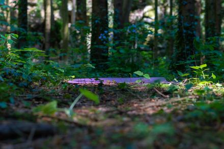 Yogamatte im Wald.